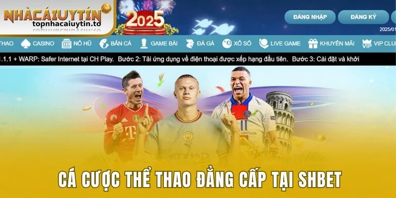 Cá cược thể thao đẳng cấp tại SHBET