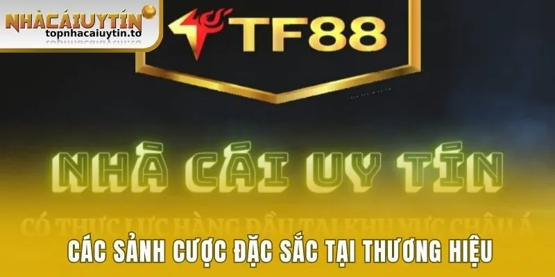 Các sảnh cược đặc sắc tại thương hiệu