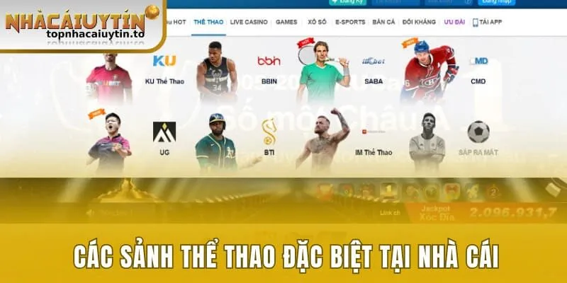 Các sảnh thể thao đặc biệt tại nhà cái