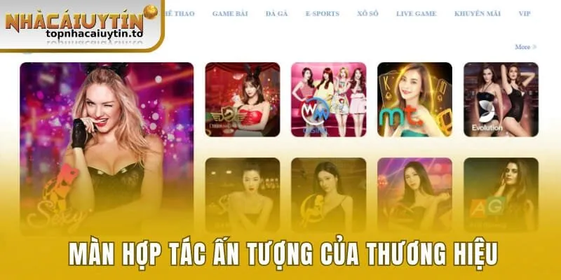 Màn hợp tác ấn tượng của thương hiệu