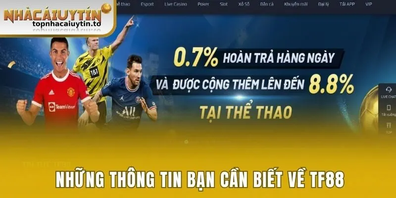 Những thông tin bạn cần biết về TF88