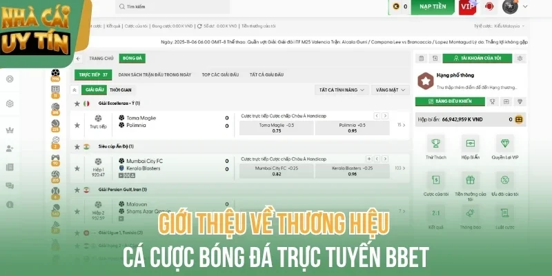 Giới thiệu về thương hiệu cá cược bóng đá trực tuyến BBet